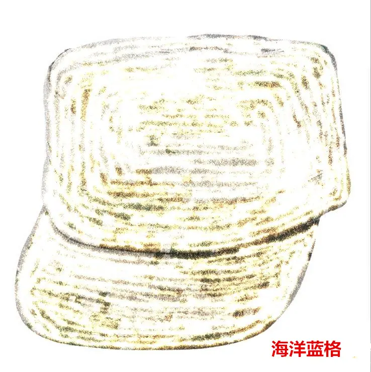 帽子_副本蓝格.png