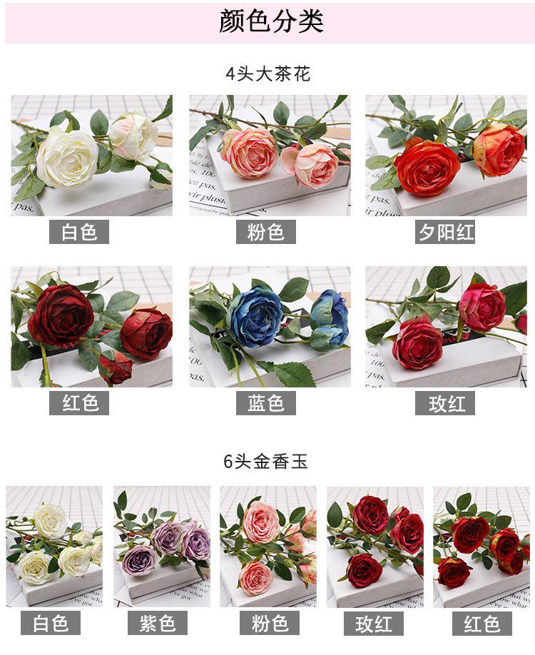 4头大茶花+6头金香玉_07.jpg