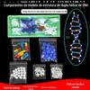 Modelo de estrutura de dupla hélice de DNA gene genético e variação biológica instrumento de ensino biológico do ensino médio equipamento experimental