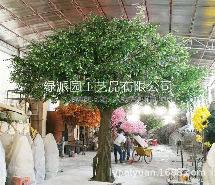 榕树069.jpg