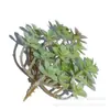 Vaso de suculenta artificial flor artificial fada pequeno bonsai proteção ambiental plástico flor combinação prato vaso de planta verde