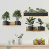 Planta verde em vaso folha de tartaruga bola de cacto adesivo de parede sala de estar escritório decoração de parede adesivo de parede BR612