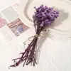 Kit de Materiales Florales Eternos para Ramo de Flores Secas DIY, Accesorios Decorativos Hechos a Mano, Materiales Florales y Accesorios Coloridos Mixtos con Temática de Sanación