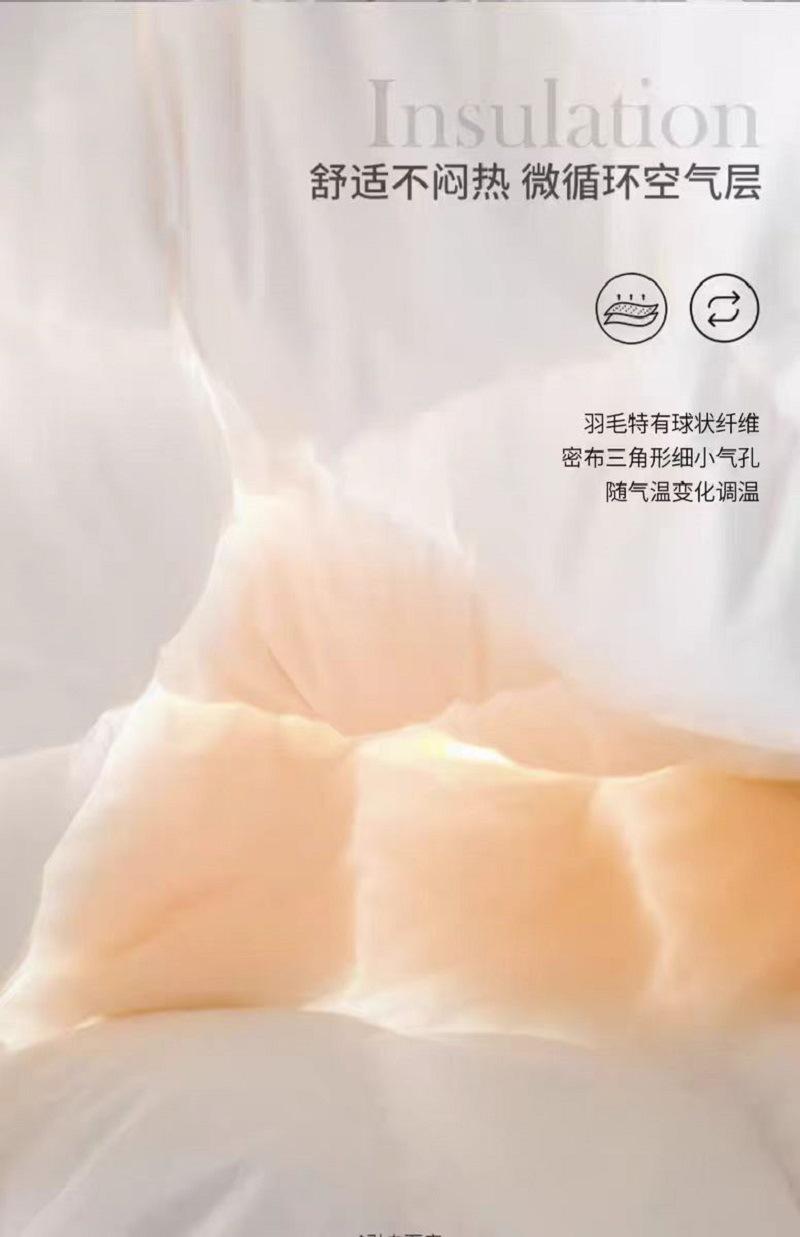 微信图片_20241213161719