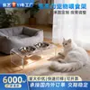 Suporte Personalizado para Tigela Porosa de Gato e Cão, Suporte de Alimentação para Animais de Estimação para Exportação, Suporte de Armazenamento em Acrílico