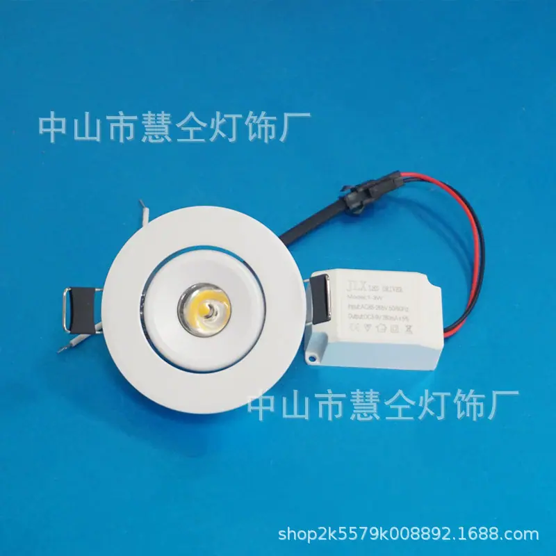DSC08529_副本.jpg