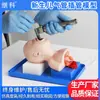 Modelo de intubación traqueal, intubación de adulto con alarma electrónica, modelo de entrenamiento de intubación traqueal para recién nacidos e infantes