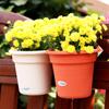 Maceta colgante de pared para plantas verdes, flores, maceta con doble gancho para balcón, jardín y pared.