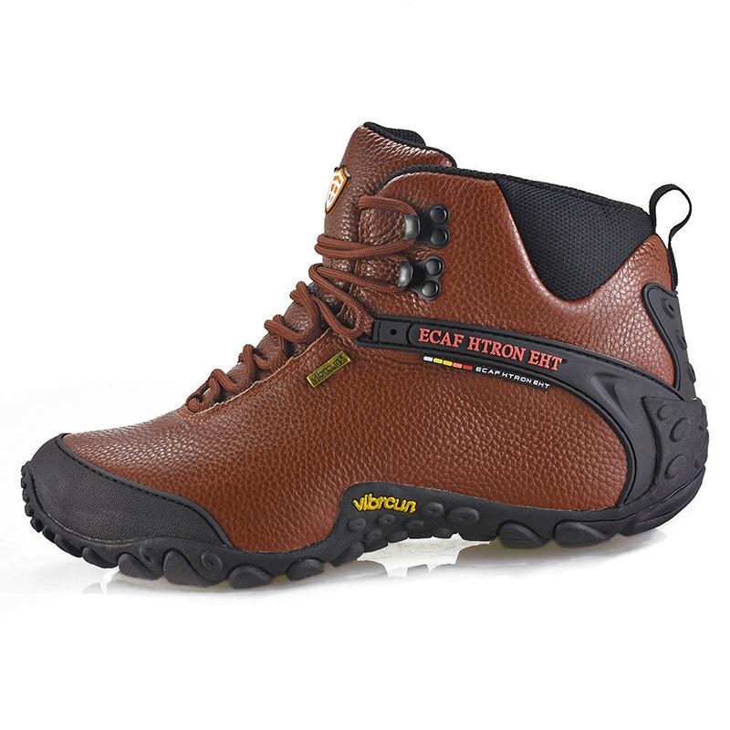 一键复制_20221222110419