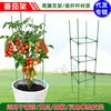 Enrejado para Tomates para Plantar en Balcón, Poste de Soporte Trepador para Frijoles y Pepinos, Soporte para Plantas Trepadoras Rosas