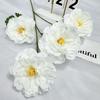 Simulação de Novo Produto 4 Flores de Peônia Arranjo de Casamento Arranjo de Hotel Material de Flor de Simulação Decoração de Mesa de Sala de Estar Sala de Jantar Flores Artesanais