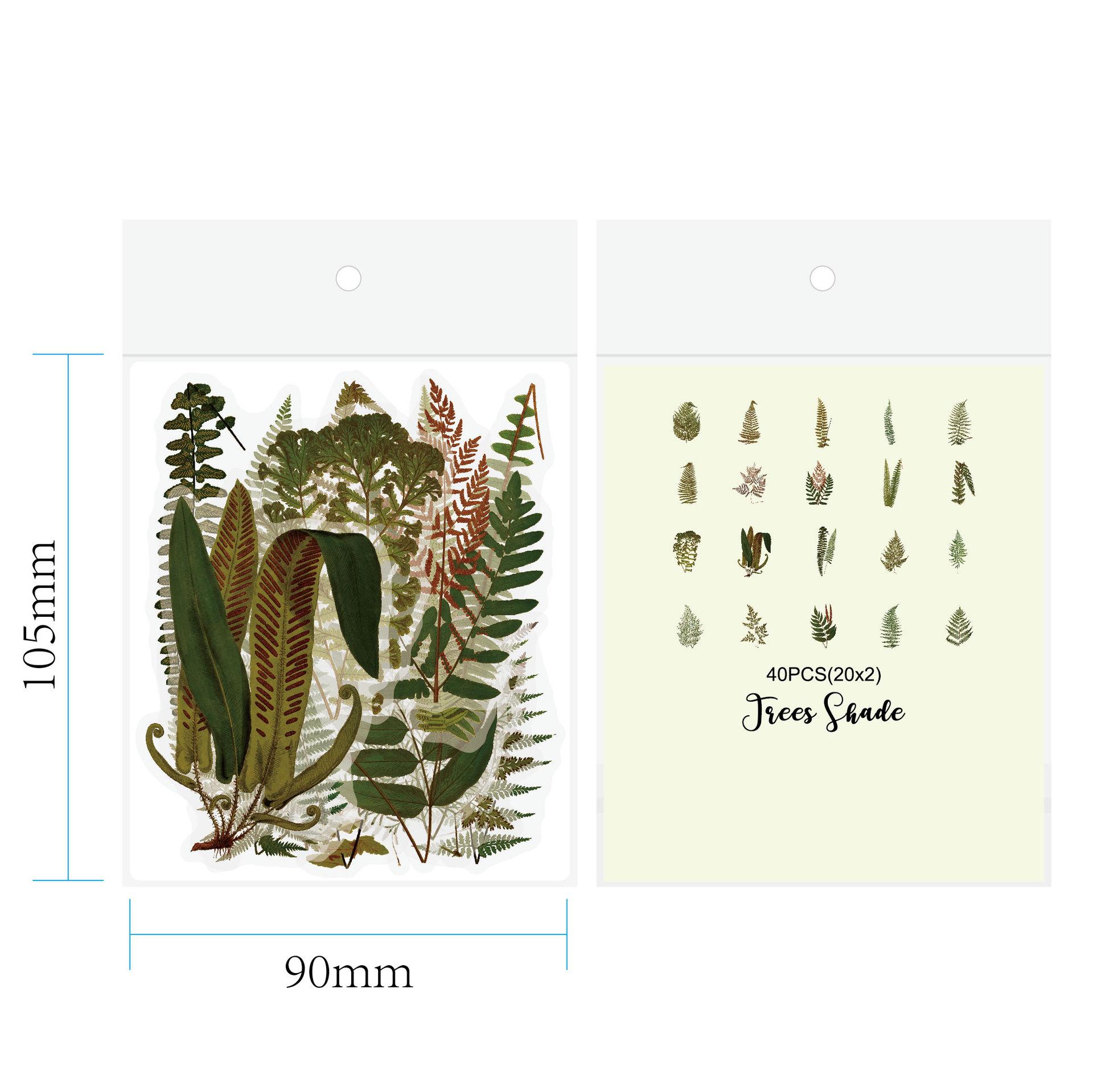蕨类植物贴纸效果图