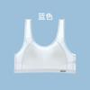 Ropa interior Anfeiya para niñas, de verano, fina, transpirable, para estudiantes de secundaria, de desarrollo temprano, chaleco pequeño, sujetador de talla grande para niñas.