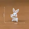 Figuras de Zanahoria y Conejo Lindas para Paisaje en Miniatura, Accesorios de Decoración DIY para Casa de Muñecas, Adornos de Escritorio Mini