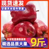 Manzana Hua Niu de Tianshui, Gansu 5kg Fresca Piel Rosa Serpiente Roja Fruta Navideña Fea Fruta de Temporada Caja Entera Envío Gratis