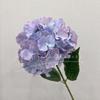 Hortensia Doble 3D Calabaza Hortensia Flores de Simulación para Boda Hortensia Flores Falsas para Boda Paisaje