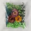 Flor Eterna Flor Seca Gipsofila Kit de Material DIY Aromaterapia Resina Rosa Flor Seca Não Me Esquecas Porta-Retrato Leque Redondo Design Criativo