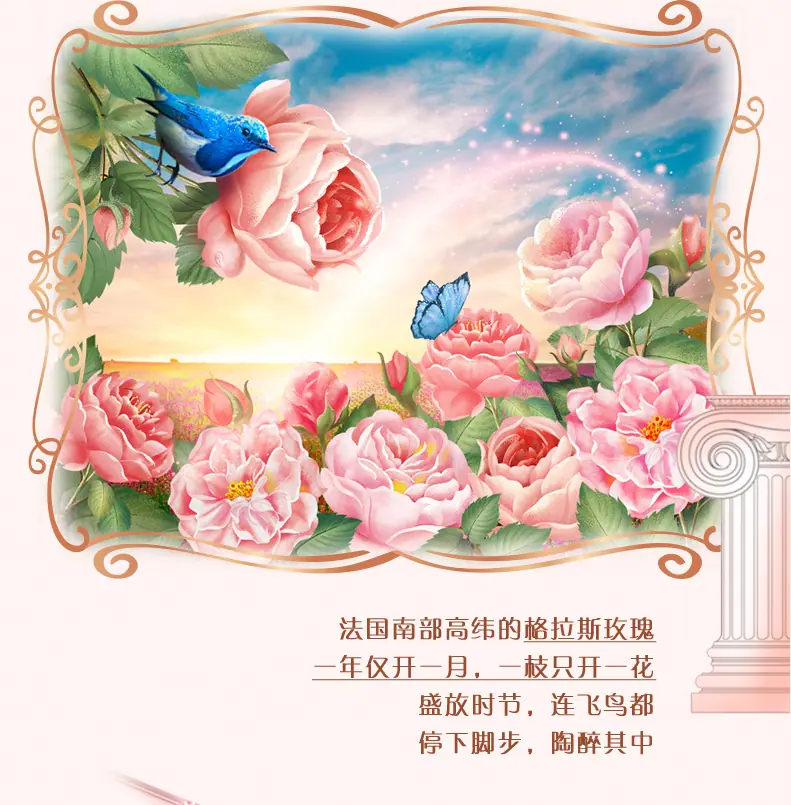 详情图 (5).jpg