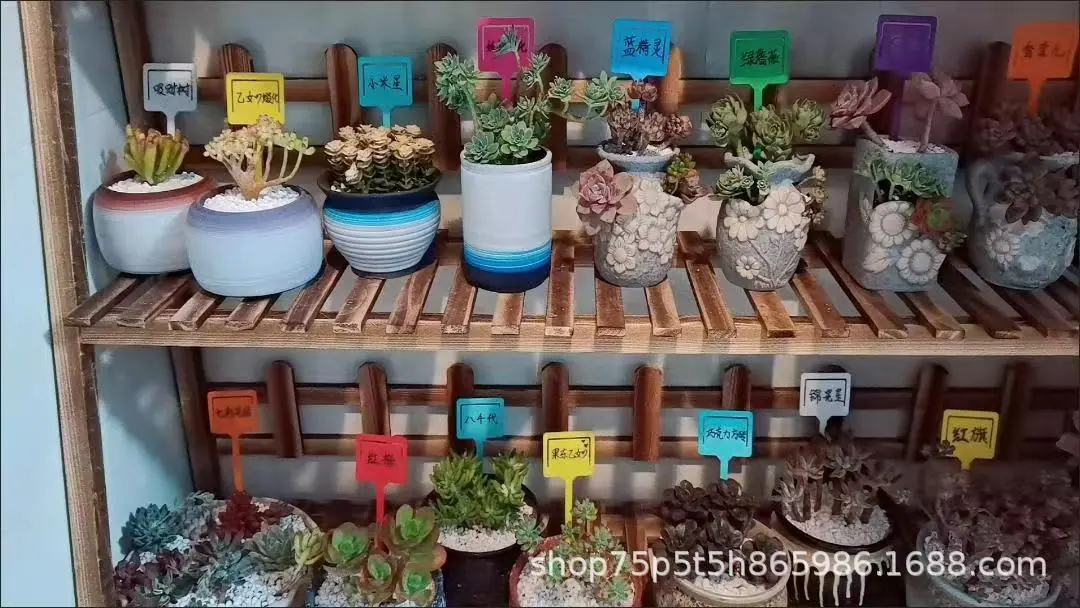 植物插杆1.jpg