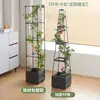Vasos de Jardim Externos com Rega Automática, Treliça para Tomates, Vasos de Escalada para Plantas de Interior, Vasos de Escalada para Varanda