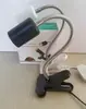 Lâmpada de Aquecimento para Tartaruga, Lâmpada para Répteis, Lâmpada para Aquário de Tartarugas, Lâmpada de Aquecimento, Suporte de Lâmpada de Aquecimento para Animais de Estimação Répteis, Lâmpada de Solário, Lâmpada de Isolamento