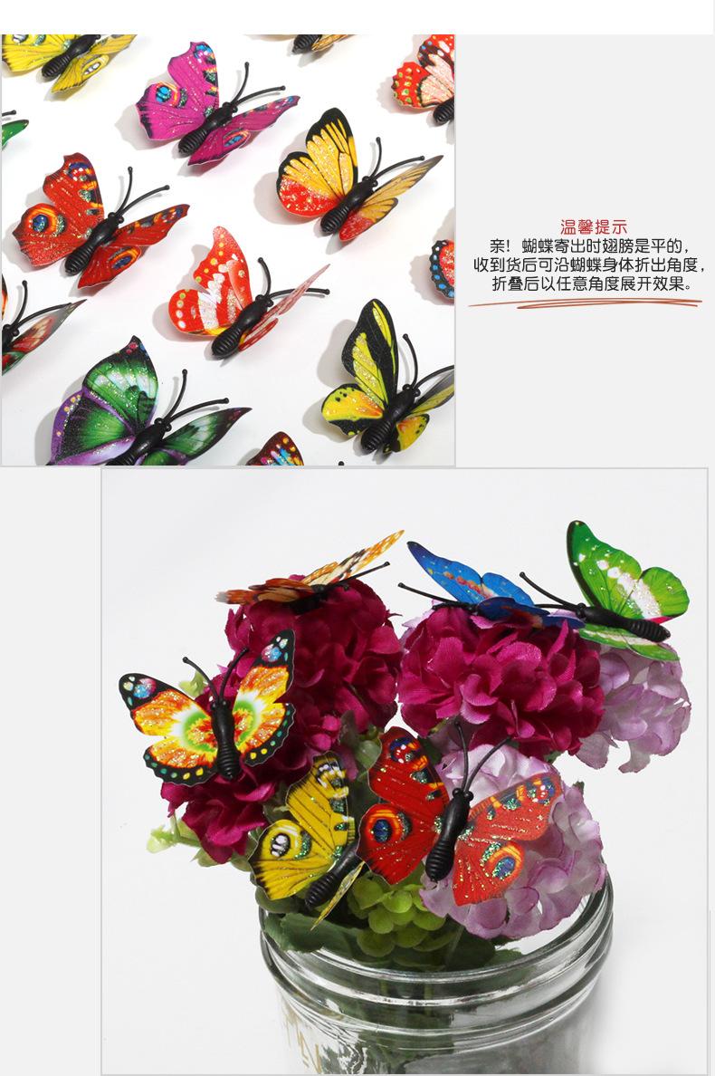 闪光蝴蝶详情_05.jpg
