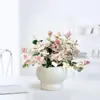 [Piedra Colgante de Flores y Hojas] Plantas Verdes Trepadoras Coloridas, Plantas de Flores en Maceta de Escritorio en la Oficina, Fáciles de Cultivar, Resistentes al Calor y al Frío