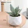 Venta al por mayor de plantas suculentas artificiales, lote mixto de plantas suculentas en maceta diamante, ventas directas de fábrica, decoraciones de plantas verdes para oficina