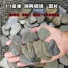 Micro-paisaje rocalla pieza piedra original acuario arroyo piedra natural piezas pequeñas adornos escalones musgo material para peces