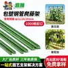 Estructura Trepadora para Plantas Transfronteriza para Frijoles, Lufa y Verduras, Poste Trepador para Pepinos, Tubo de Acero Recubierto de Plástico Espesado