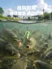 Anzuelo verde largo y blando de liberación rápida, cebo de pellets listo para pescar para carpa, carpa herbívora, besugo, cebo de pesca para estanques negros y pesca salvaje