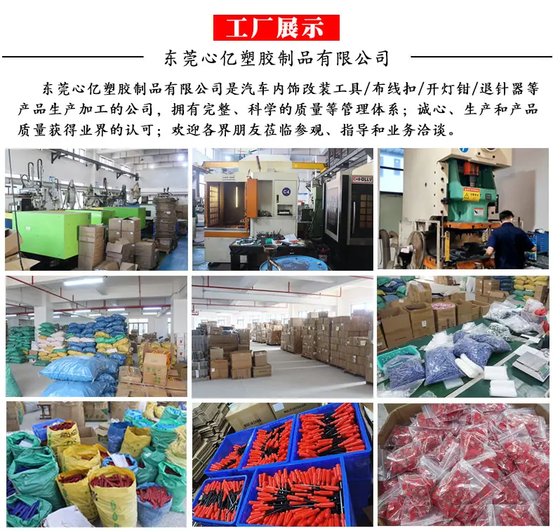 东莞心亿详情