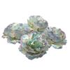Cabeça de flor de peônia artificial de alta qualidade nova cabeça de flor de peônia parede de flores DIY casamento decoração de fundo de sala de estar atacado