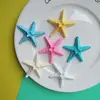 Acessórios de Resina com Concha de Estrela Sapatos com Furo Grampo de Cabelo Acessórios de Cabelo Bolsa Brinquedos Material DIY Fabricante Atacado