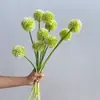 Flores Artificiais e Plantas Verdes, Flores de Cebola Falsas, Adereços Modernos Minimalistas para Sala de Estar e Casamento, Arranjos Florais