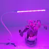 Luz LED 5V com Clipe para Interior Luz Vermelha e Azul Espectro Completo Multi-Dimmer Interruptor Timer Luz para Crescimento de Plantas Luz de Preenchimento 12V