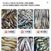 Máquina Matadora Automática Pequeña de Peces, Máquina Desvisceradora Pequeña de Peces Blancos, Pescado Espiga de Trigo, Pargo Amarillo, Carpa Crucian Pequeña, Máquina de Pescado Cuchillo de Otoño