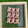 Oso de chocolate DIY, transmisión en vivo de celebridades de Internet, nueva joyería, crema, pegamento, funda para teléfono, horquilla, material al por mayor