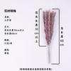 Yunnan Colorido Pequeno Junco Flores Secas Capim dos Pampas 15 Peças/Maço, Cores Múltiplas, Desconto para Grande Quantidade no Atacado, Fornecimento Exclusivo Transfronteiriço