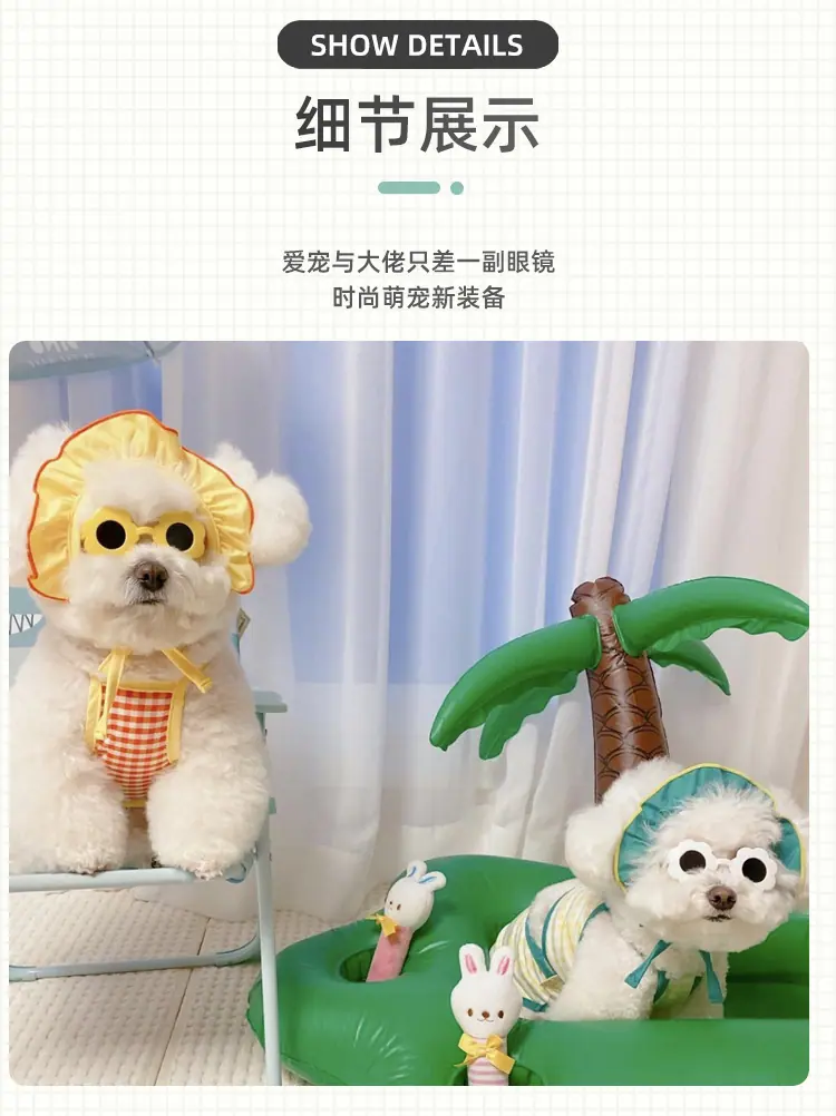 宠物塑料眼镜1_07.png