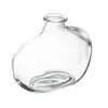 Vaso Organics 11cm x 9.5cm x 5.5cm Vidro - Wolff