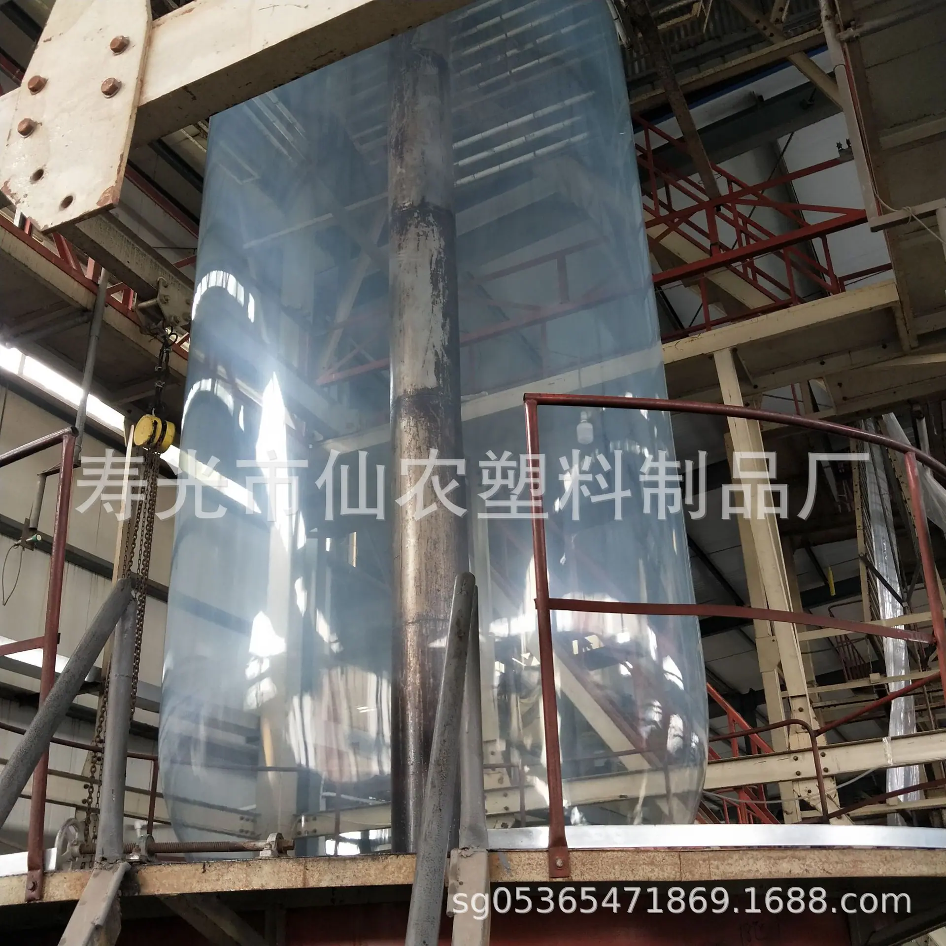南方蓝长寿.jpg