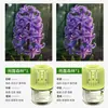 Novo Modelo para Entrega: Zhumeng Casa Celebridade da Internet Sem Fogo Líquido Refil de Aromaterapia para Quarto de Menina Fragrância Gaiola de Pássaro Pequeno Perfume