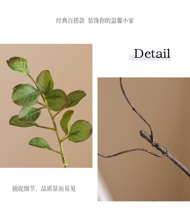 短枝2叉枯枝秋叶-长枝3叉枯枝秋叶_06.jpg