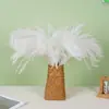 Ramo de Flores de Caña Seca, Decoración de Caña, Decoración de Boda Transfronteriza, Hierba de Pampa, Flores Pequeñas Suaves Preservadas, Caña