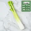 Modelo de vegetal de simulação PU pimenta alface repolho chinês berinjela cebola cogumelo brócolis modelo de adereços decoração de sala