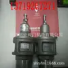 ZCD1-10 Plástico Rey Resistente a la Corrosión Químico Anticorrosión Ácido y Alcalino Resistente Ácido Clorhídrico Nitrato Ácido Sulfúrico Acetato Válvula de Solenoide