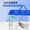 Tanque para Tortugas con Plataforma para Tomar el Sol, Tanque de Plástico para Cría de Tortugas para Uso Doméstico, Caja Portátil Pequeña para Tortugas Mascotas con Tapa, Contenedor de Alimentación