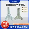 Fabricante de Origen Impa351031 Acero al Carbono Conector Rápido Tipo Garra Marino con Rosca Interna Conector de Manguera de Aire Tipo Bocina Estilo Americano