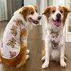 Ropa Chaleco de Primavera/Verano para Perros Grandes Suministros para Mascotas Perro Gato Estampado de Oso Grande Ropa para Corgi Venta al por Mayor
